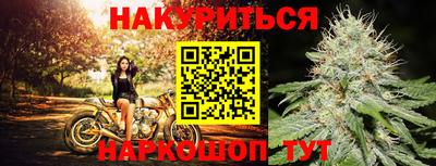 амф Нальчик
