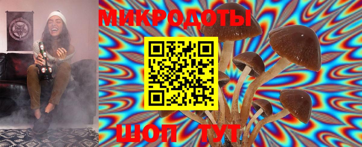Галлюциногенные грибы Cubensis  Псилоцибиновые грибы MAGIC MUSHROOMS  Вход с VPN  где купить   Урюпинск 