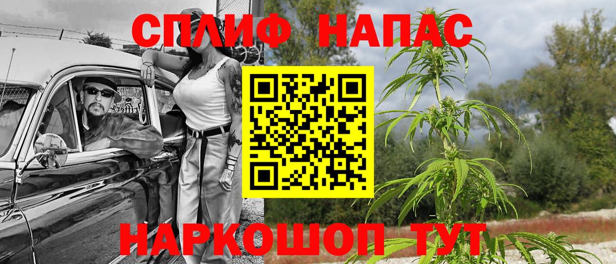 Каннабис AK-47  Бошки марихуана тримм  Конопля план  Конопля тримм  Вход с VPN  Урюпинск 